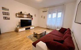 Boutique Family Apartment In The Heart Of City